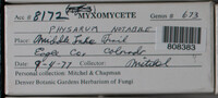Image Associated With the Occurence
